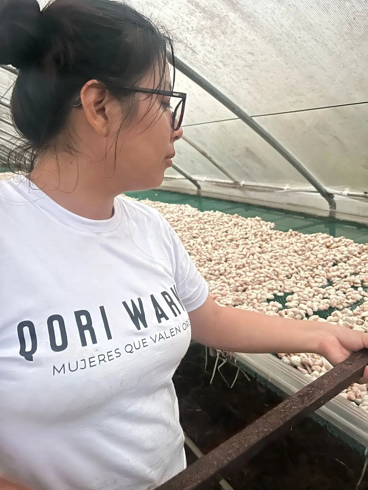 female farmer working with jcoco ethical chocolate company