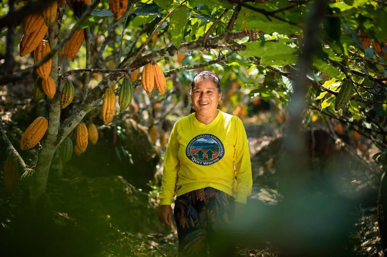 peruvian cacao farmer working with jcoco ethical chocolate company