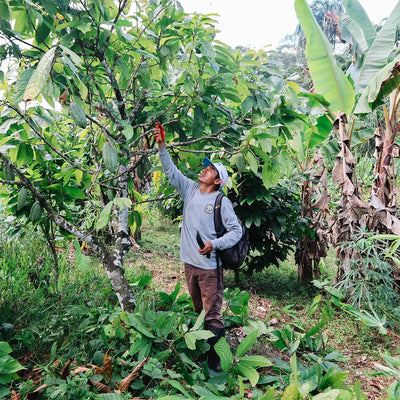 putting farmers first