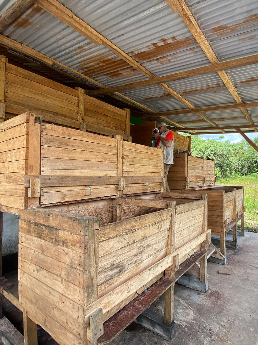 fermentation boxes