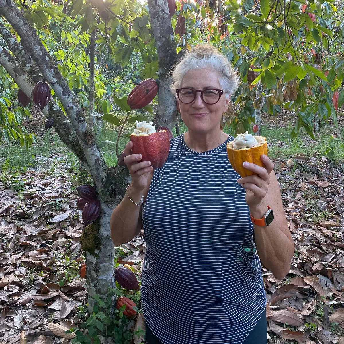 ethical cacao sourcing from peru